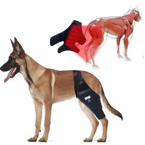 Red Light Brace for Dogs!  XL Large Dog